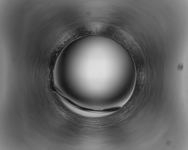 X0000099310750200805021314