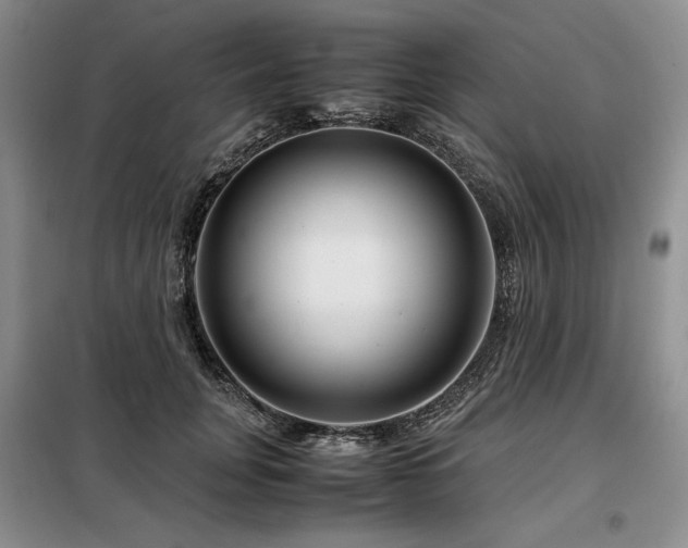 X0000099310751200805021314