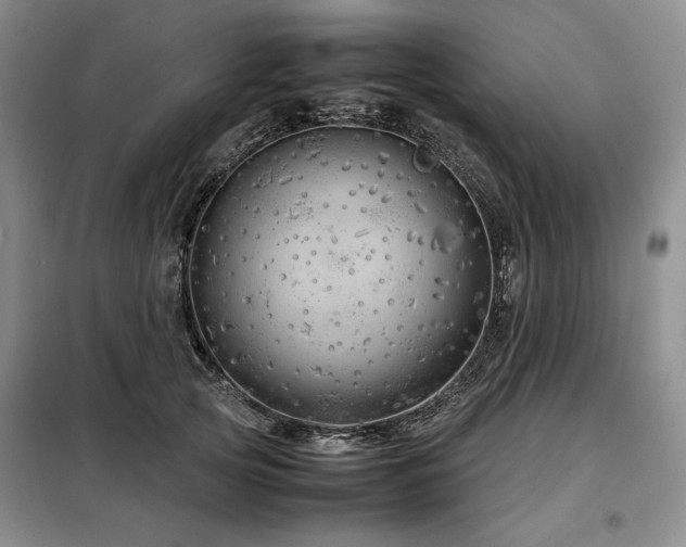 X0000099310753200805021314
