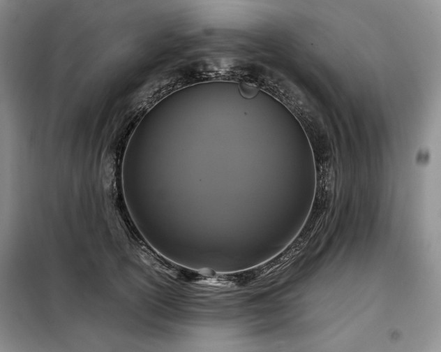 X0000099310754200805021314