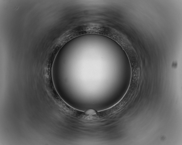 X0000099310755200805021314