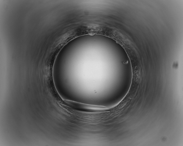 X0000099310756200805021314