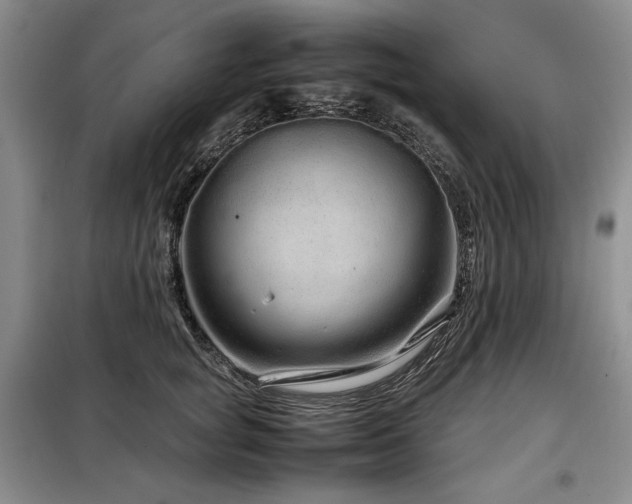 X0000099310757200805021314