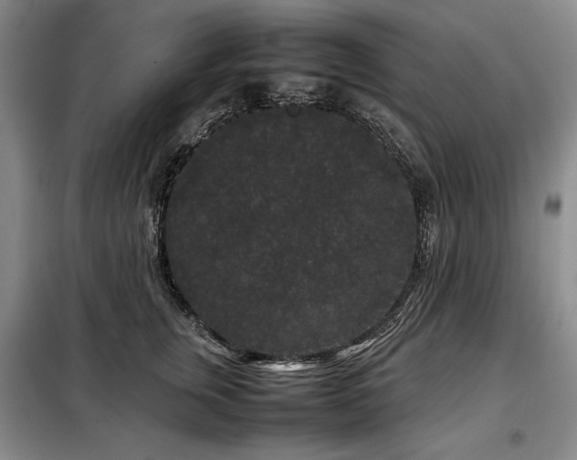X0000099310759200805021314