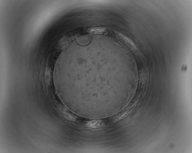 X0000099310761200805021314