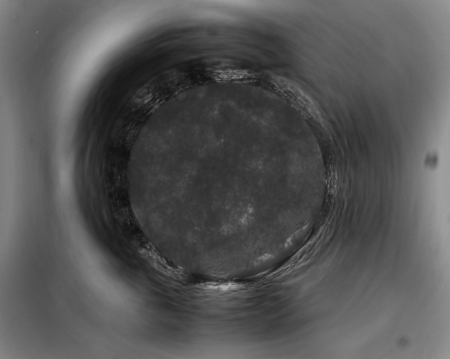 X0000099310763200805021314