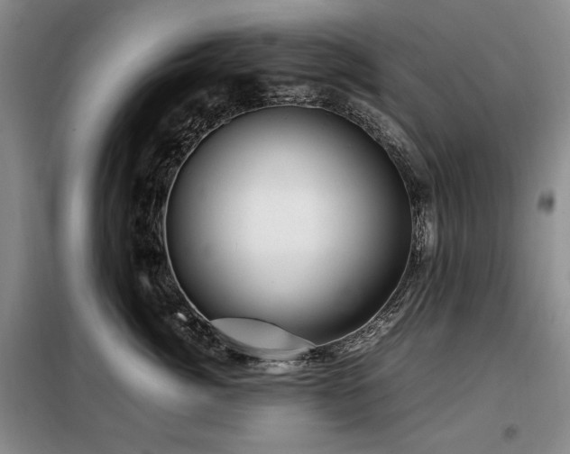 X0000099310764200805021314