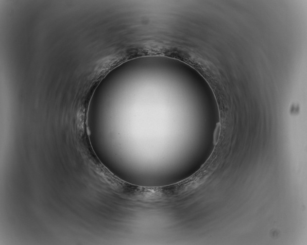 X0000099310768200805021314