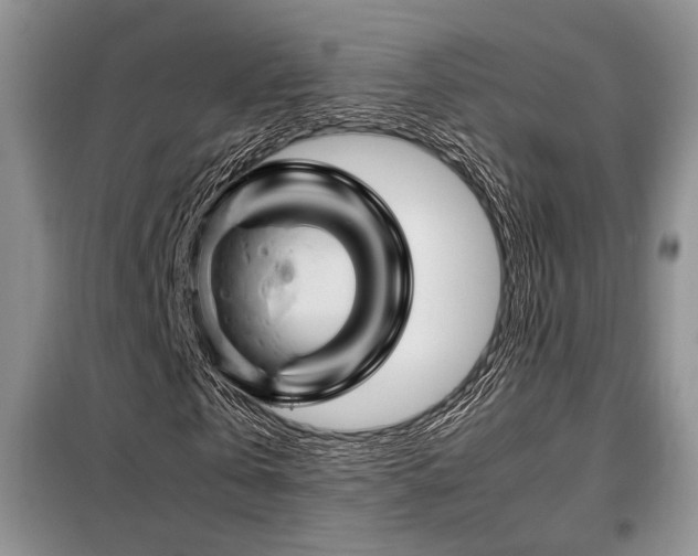 X0000099310769200805021313