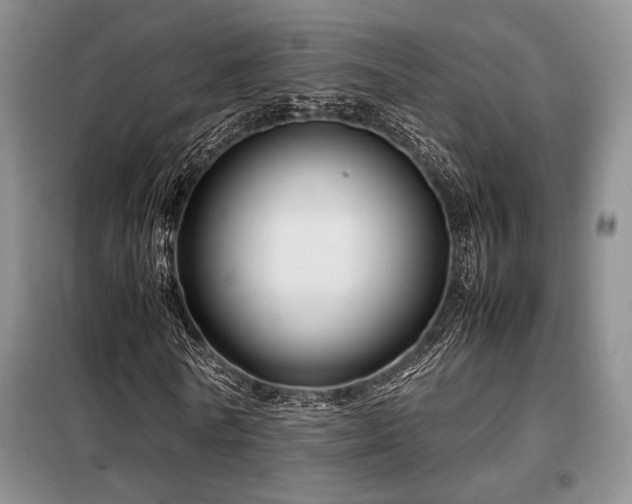 X0000099310770200805021313