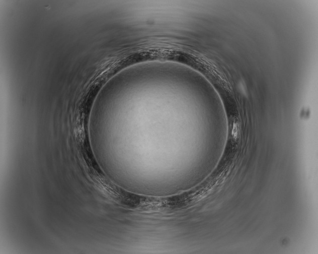 X0000099310771200805021313