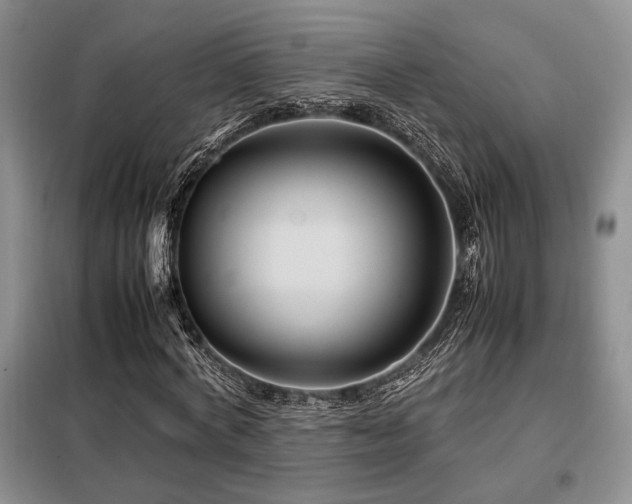 X0000099310772200805021313