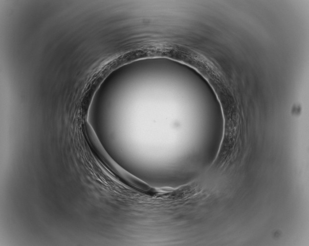 X0000099310773200805021313