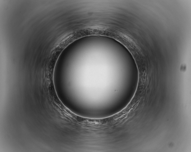X0000099310774200805021313