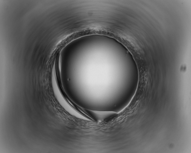 X0000099310776200805021313