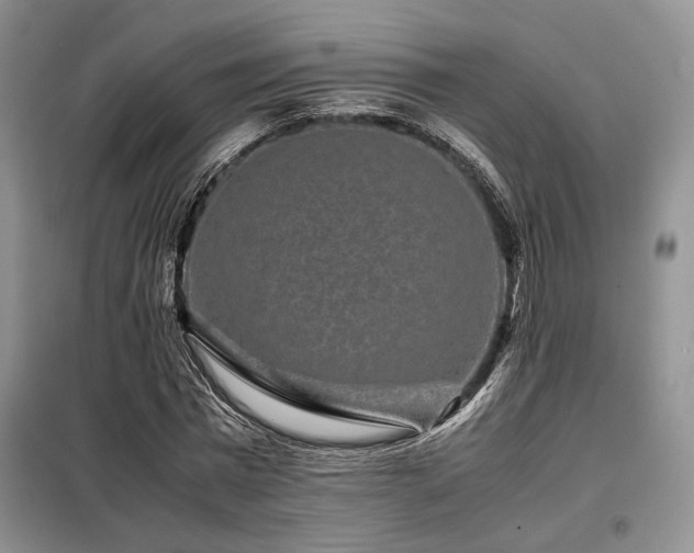 X0000099310777200805021313