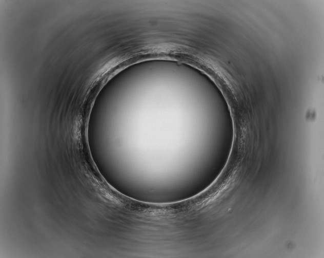 X0000099310778200805021313
