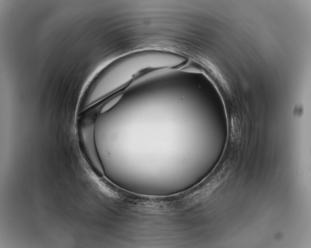 X0000099310780200805021313