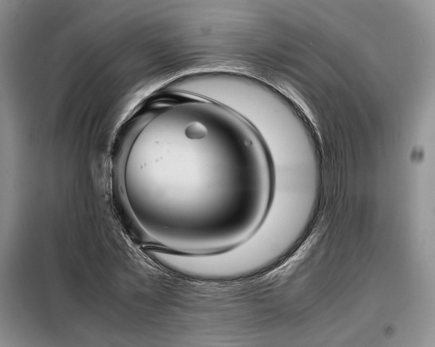 X0000099310781200805021313