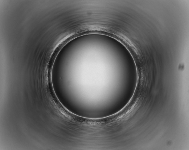 X0000099310782200805021313