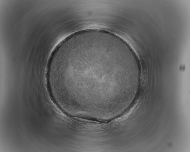 X0000099310783200805021313