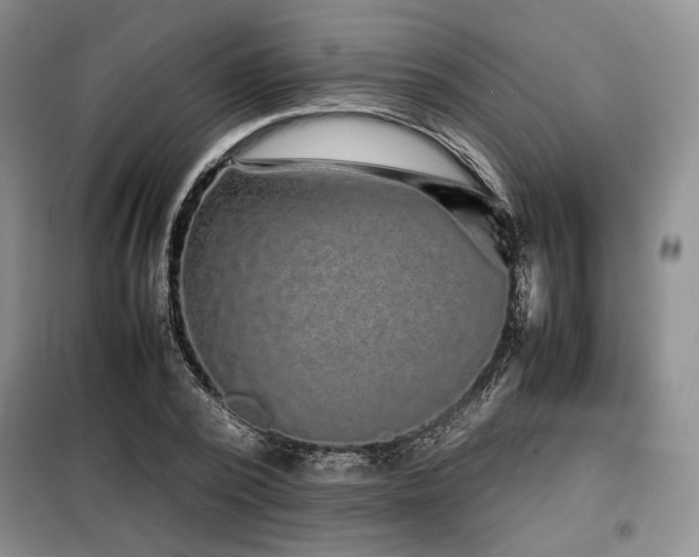 X0000099310784200805021313