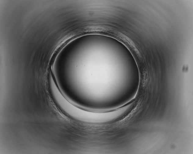 X0000099310786200805021313