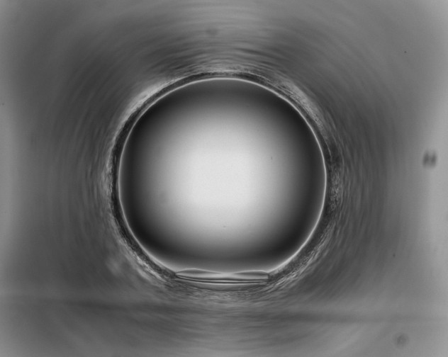 X0000099310787200805021313