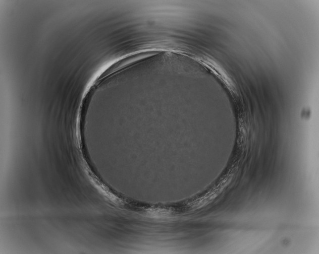 X0000099310788200805021313