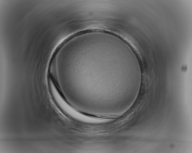 X0000099310791200805021313