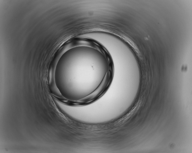 X0000099310793200805021313
