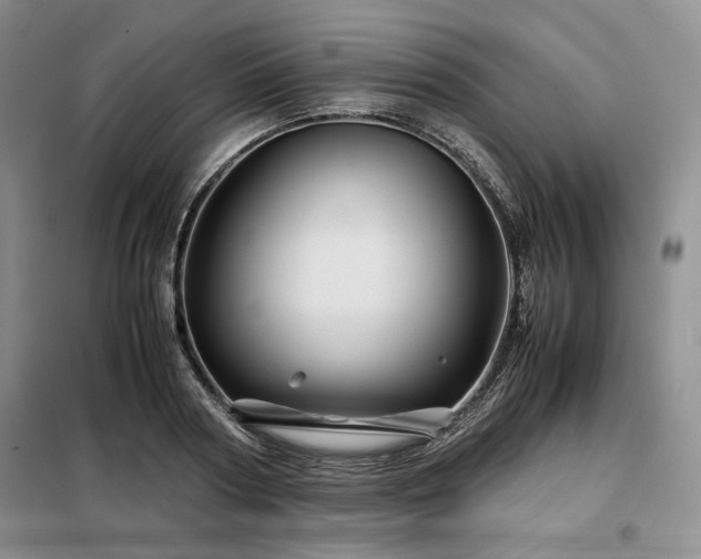 X0000099310794200805021313