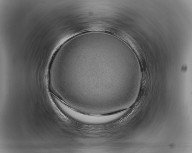 X0000099310795200805021313