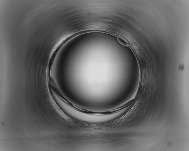 X0000099310796200805021313