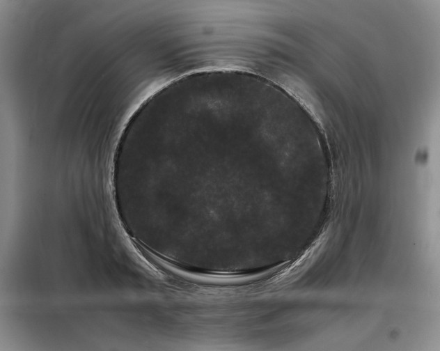 X0000099310797200805021313
