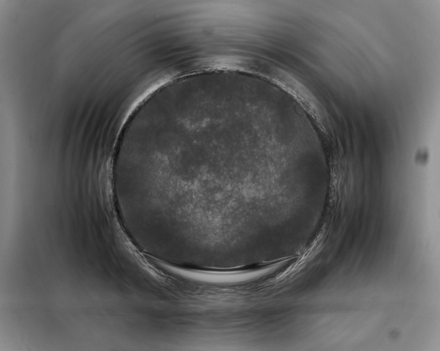 X0000099310798200805021313