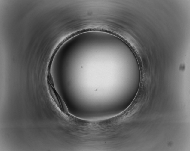 X0000099310799200805021313
