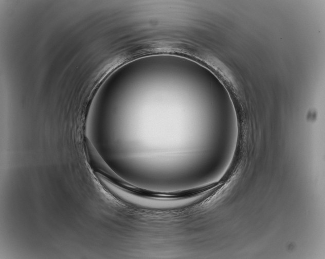 X0000099310801200805021313