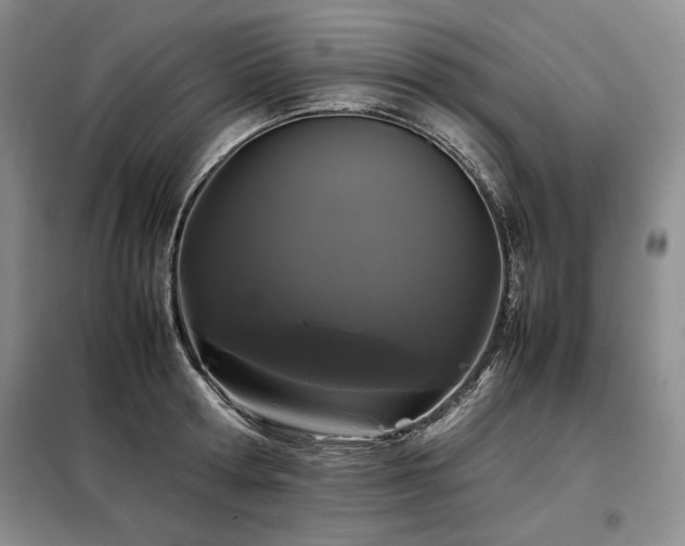 X0000099310802200805021313