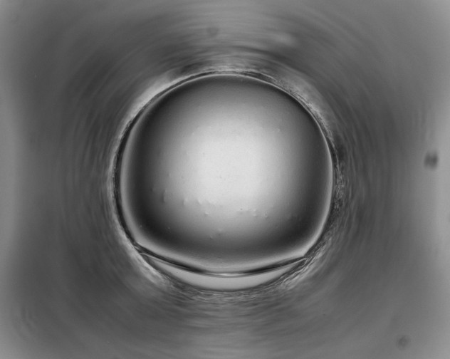X0000099310803200805021313