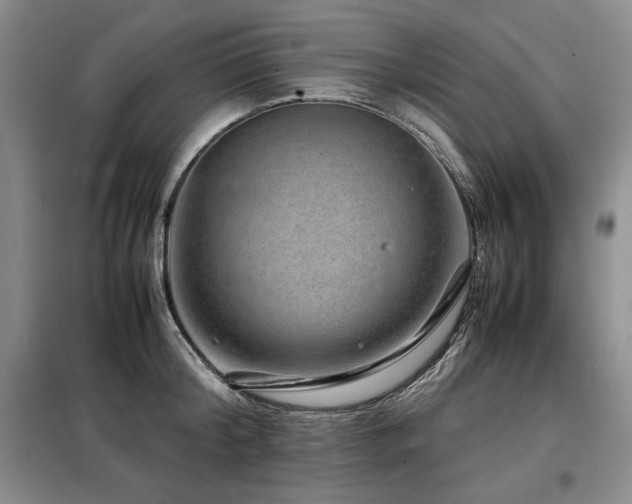X0000099310804200805021313