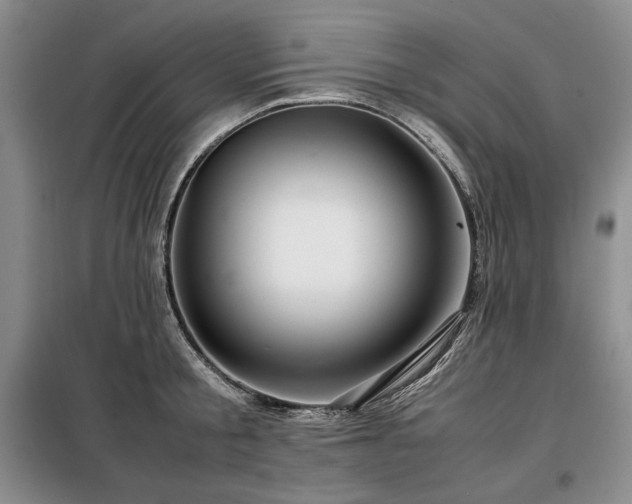 X0000099310805200805021313