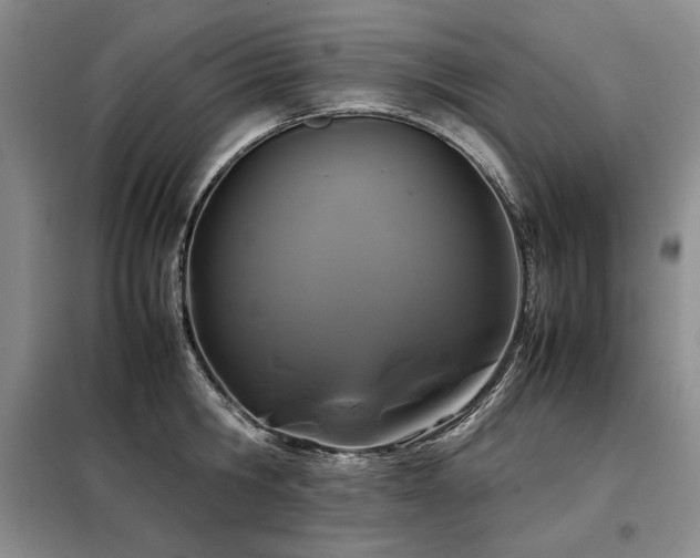 X0000099310806200805021313