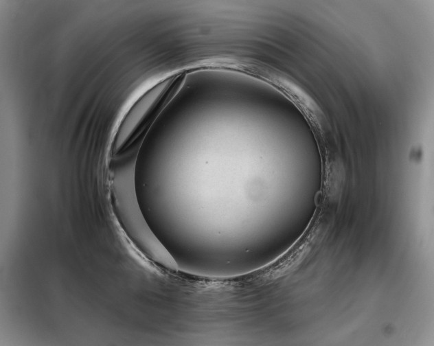 X0000099310808200805021313