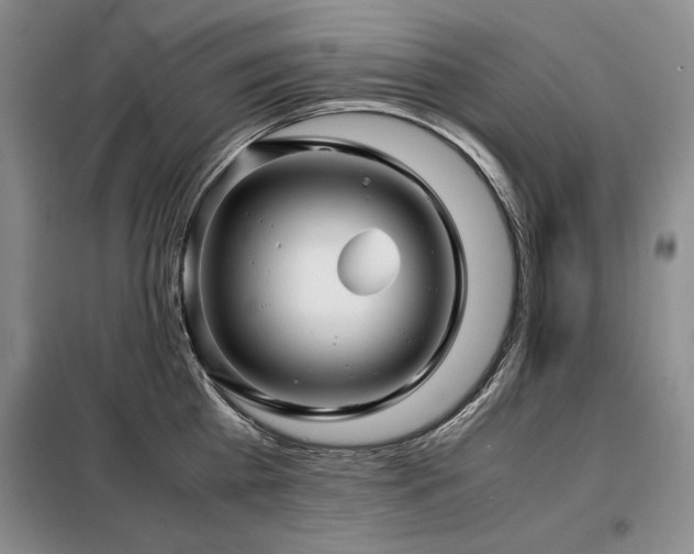 X0000099310809200805021313