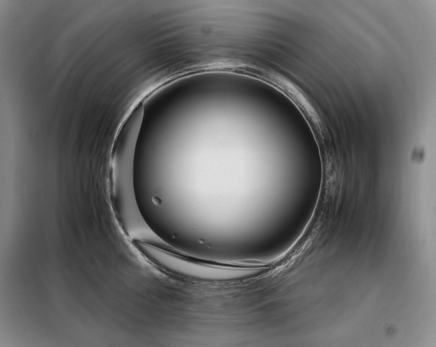 X0000099310810200805021313