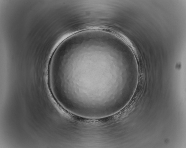 X0000099310811200805021313