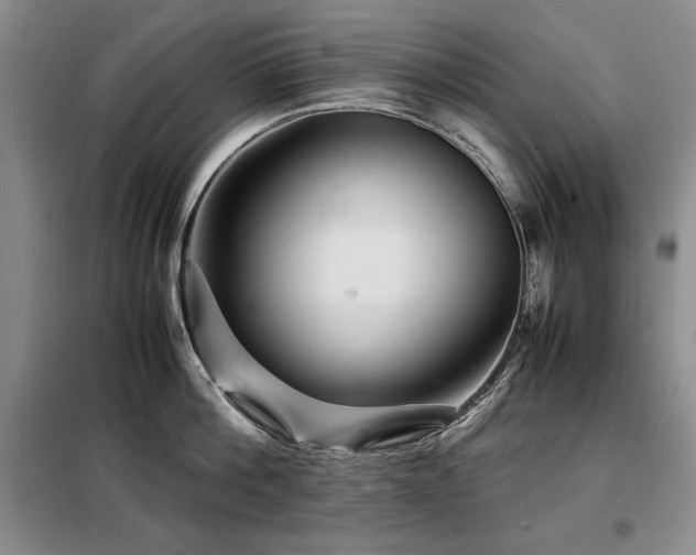 X0000099310812200805021313