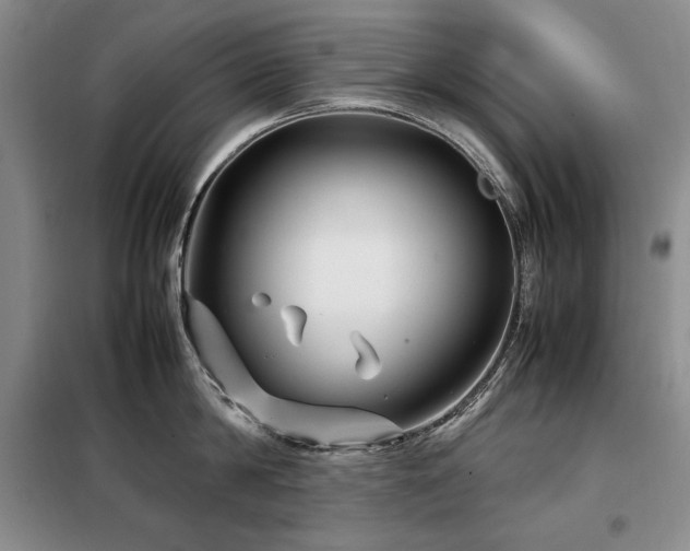 X0000099310814200805021313