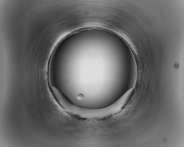 X0000099310815200805021313